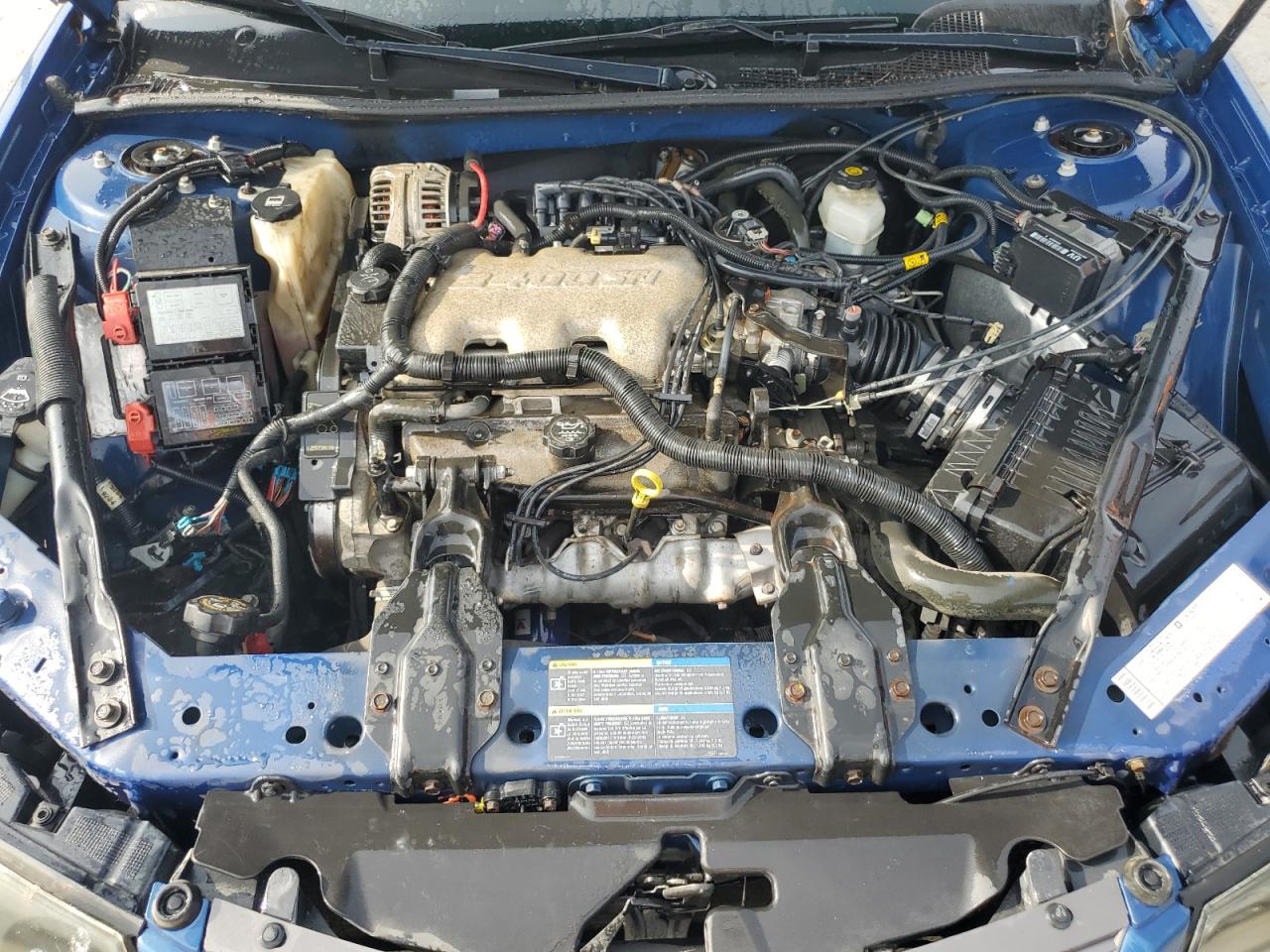 2005 Chevrolet Impala VIN: 2G1WF52E359148003 Lot: 81488805