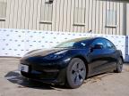 2021 TESLA MODEL 3 LONG RANGE AWD  for sale at Copart CHESTER