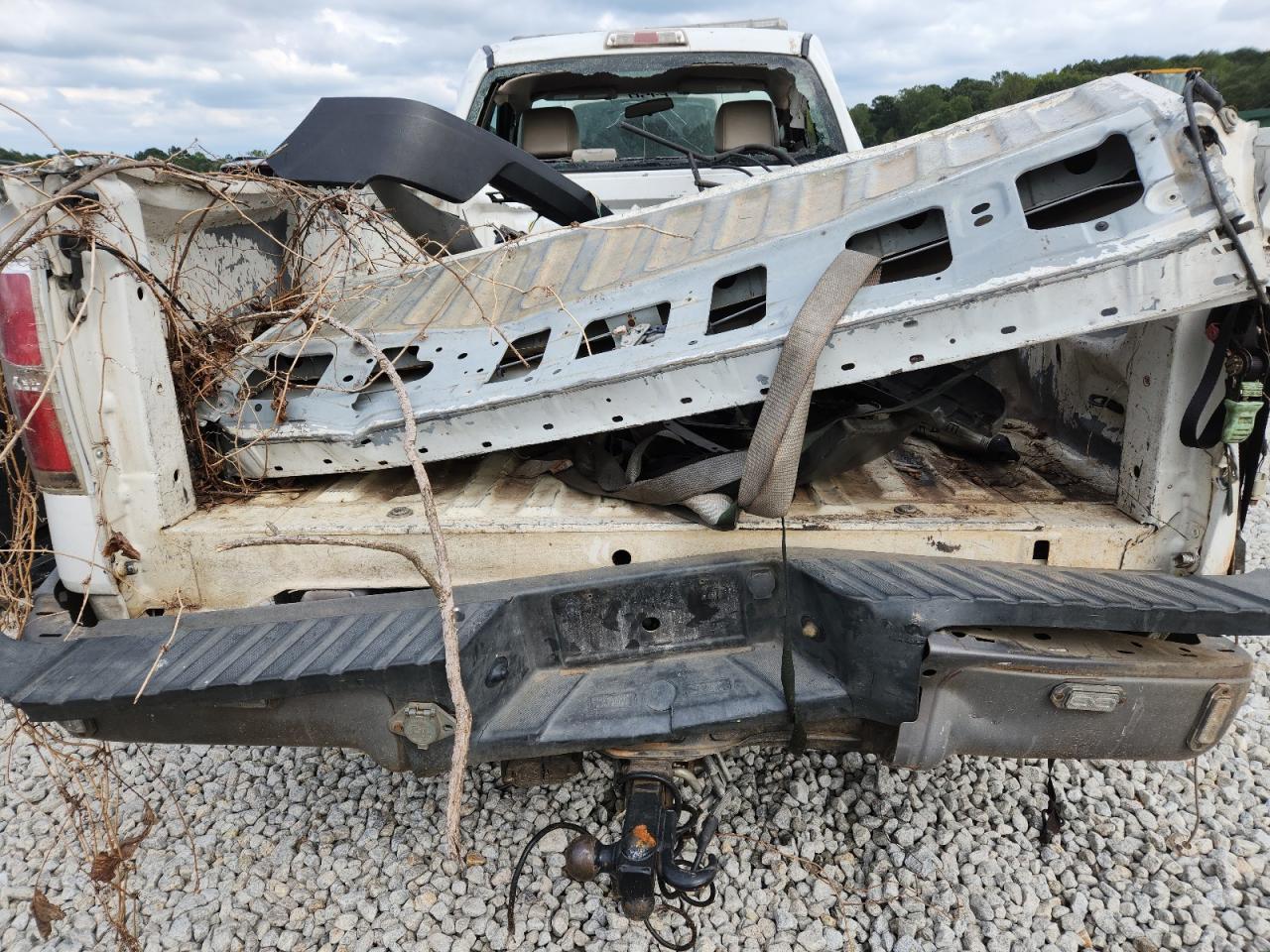 2009 Ford F150 VIN: 1FTRF12W39KA89917 Lot: 84557005