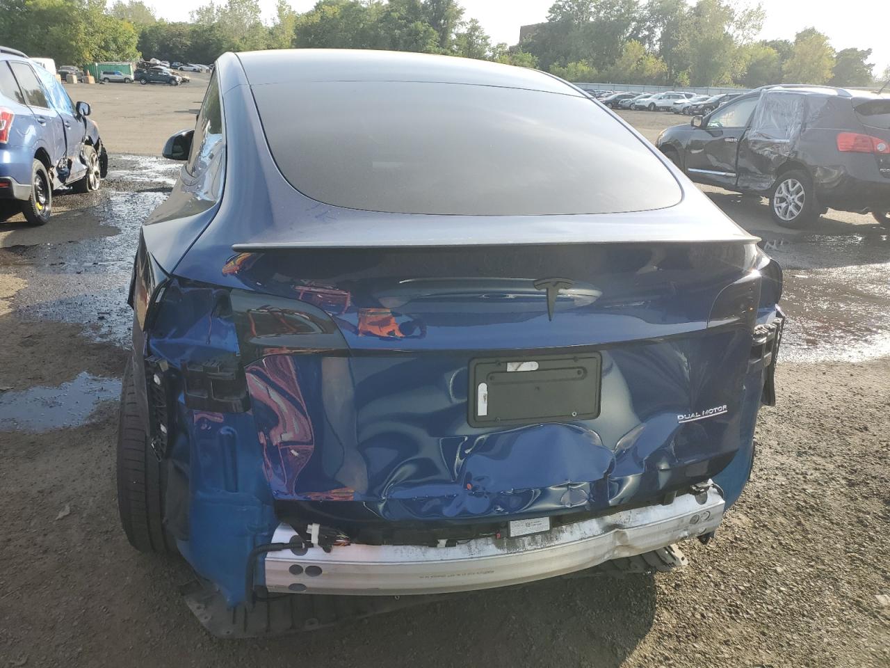 2023 Tesla Model Y VIN: 7SAYGDEFXPF756212 Lot: 81904585