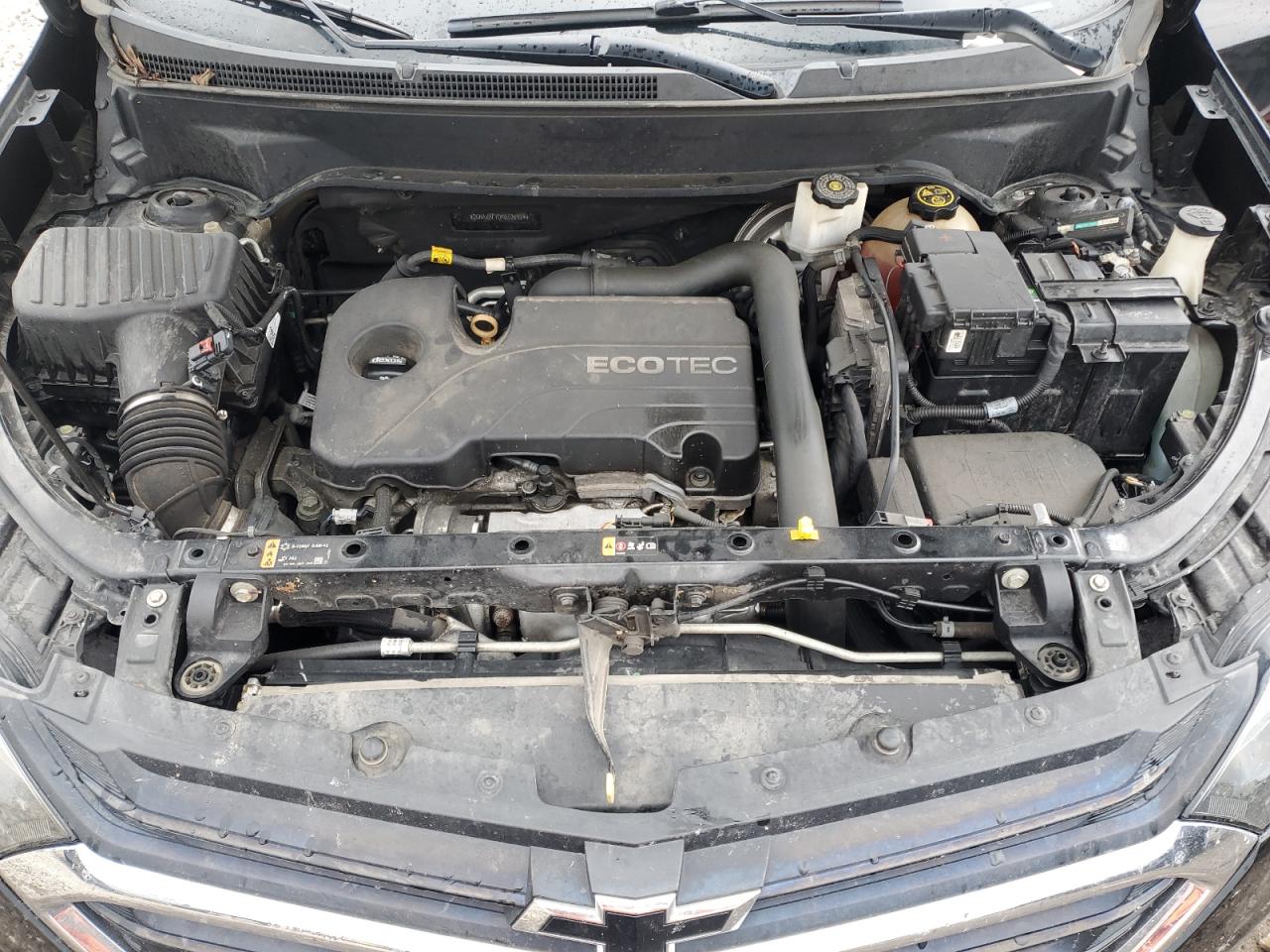 2019 Chevrolet Equinox Ls VIN: 2GNAXHEV0K6106954 Lot: 81339915