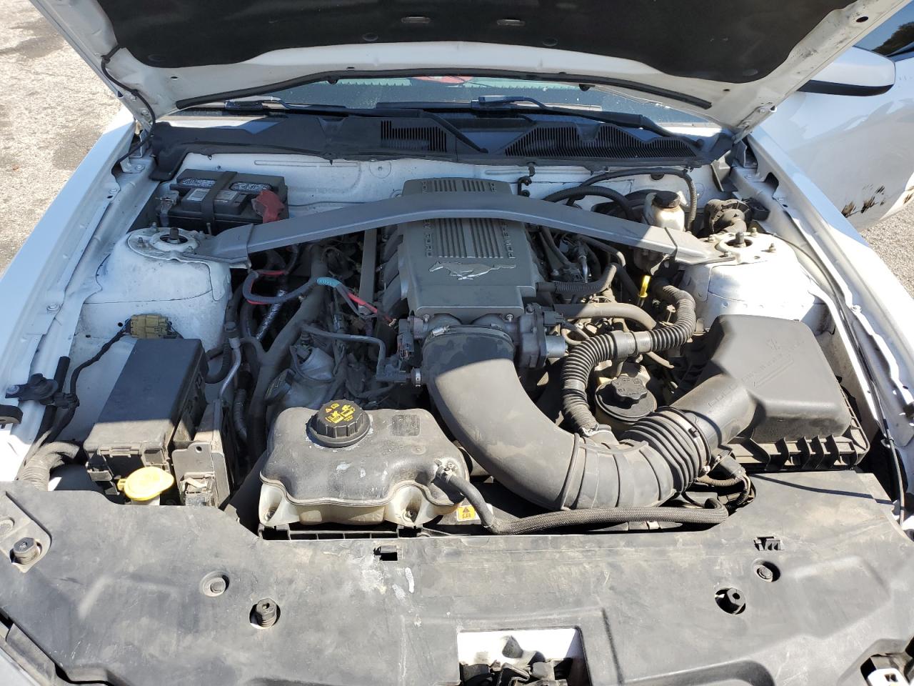 2010 Ford Mustang Gt VIN: 1ZVBP8FH2A5178963 Lot: 82168355