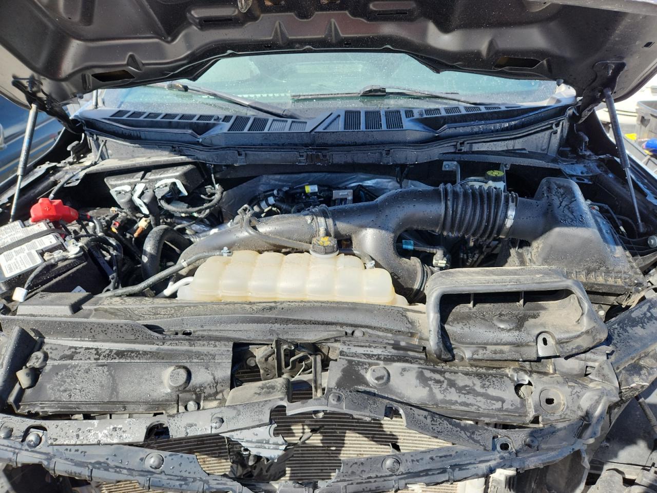 2023 Ford F150 Supercrew VIN: 1FTEW1EP1PFA81291 Lot: 80198215