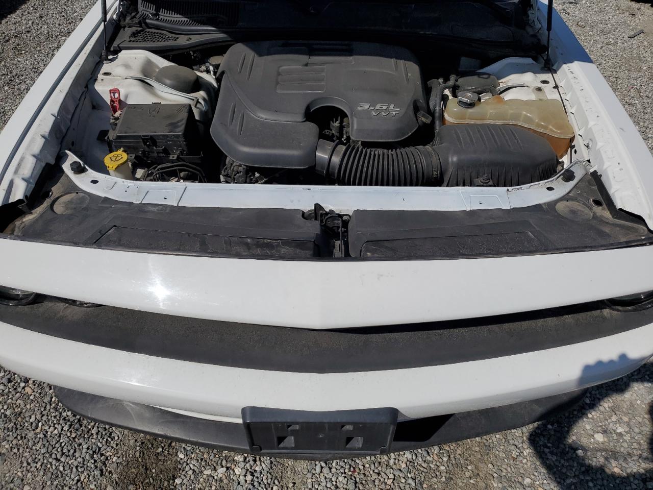 2019 Dodge Challenger Gt VIN: 2C3CDZJGXKH620293 Lot: 81760465