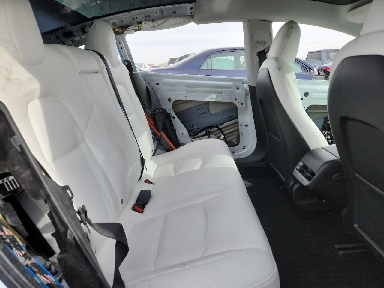 2021 Tesla Model 3 VIN: 5YJ3E1EB6MF038001 Lot: 81037735