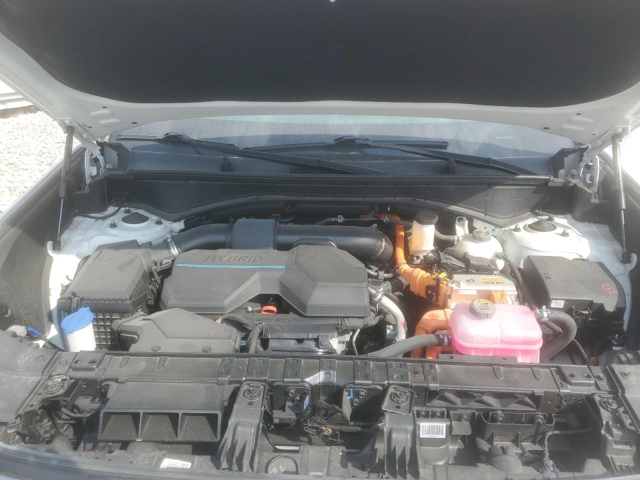 2024 Hyundai Santa Fe Sel VIN: 5NMP2DG13RH011375 Lot: 81642725