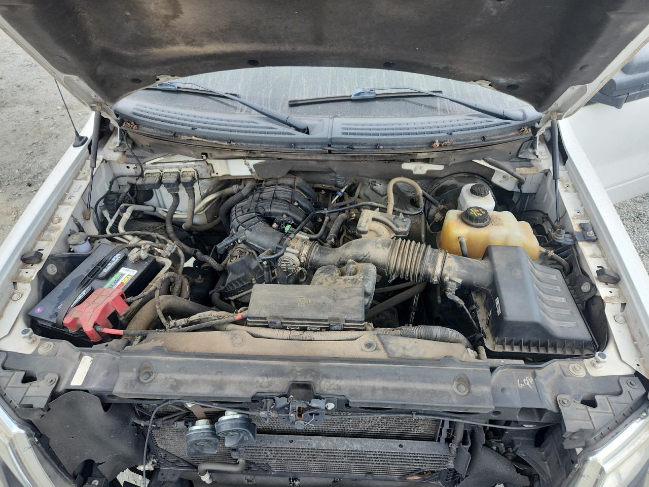 2013 Ford F150 Super Cab VIN: 1FTEX1CM7DKF11334 Lot: 71509055