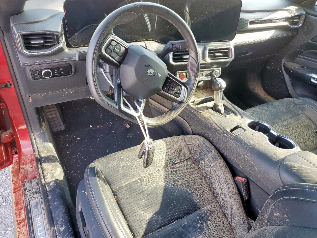 2024 Ford Mustang VIN: 1FA6P8TH1R5126525 Lot: 81888165