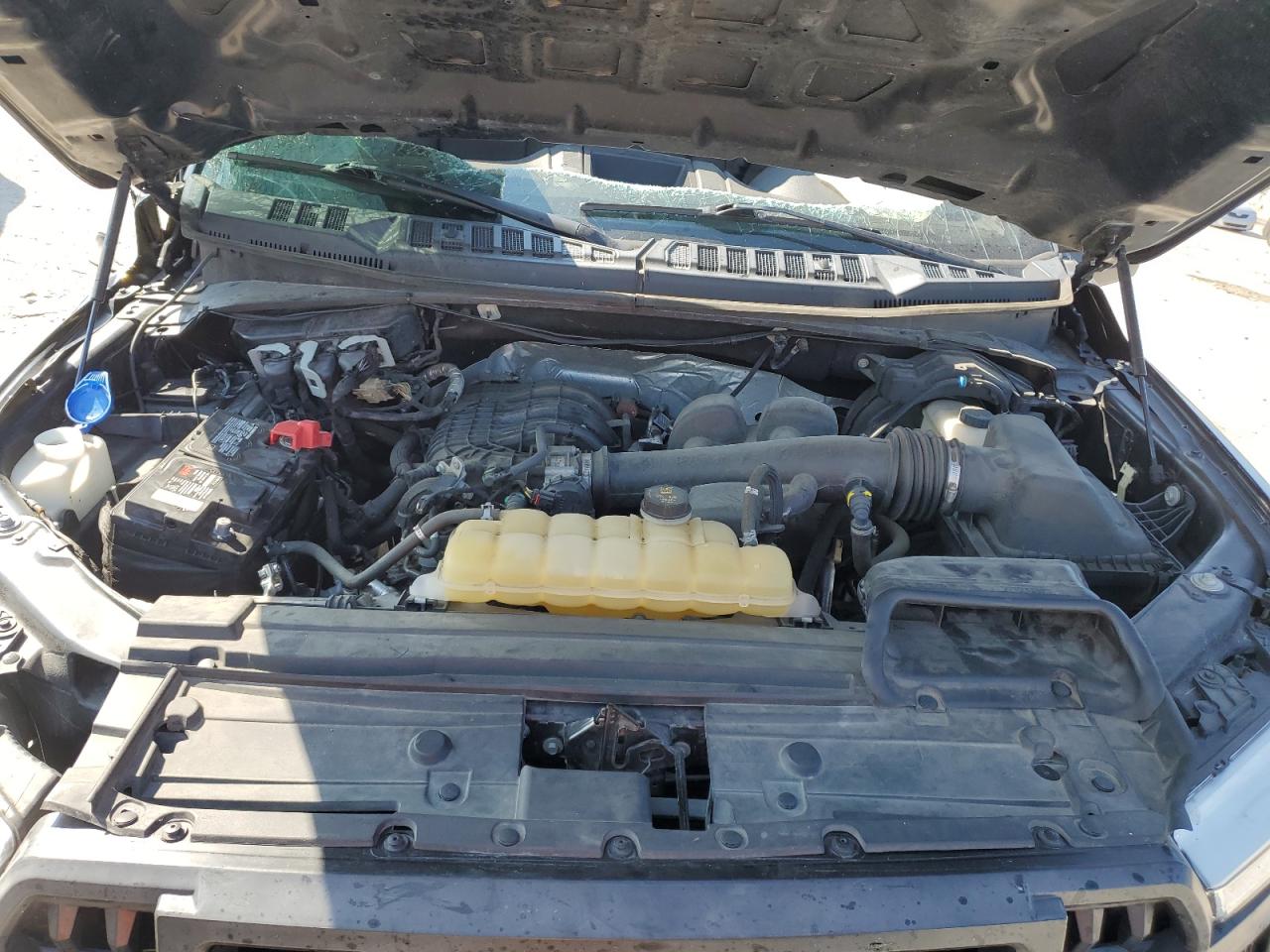 2019 Ford F150 Supercrew VIN: 1FTEW1EB0KFC24664 Lot: 81001605