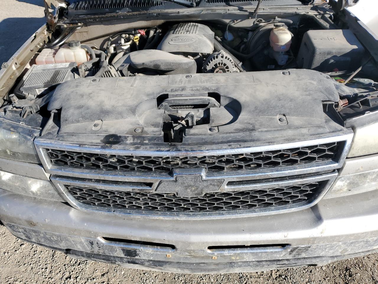 2006 Chevrolet Silverado K1500 VIN: 1GCEK19Z76Z290894 Lot: 81746215