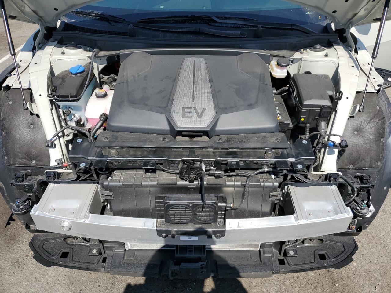 2024 Kia Ev6 Light VIN: KNDC3DLC9R5203406 Lot: 81343485