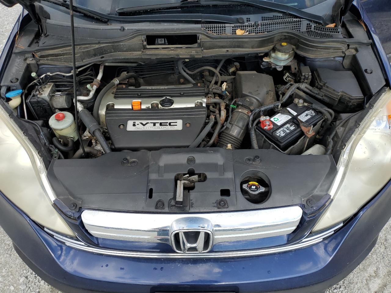 2007 Honda Cr-V Exl VIN: JHLRE48747C115357 Lot: 81023845