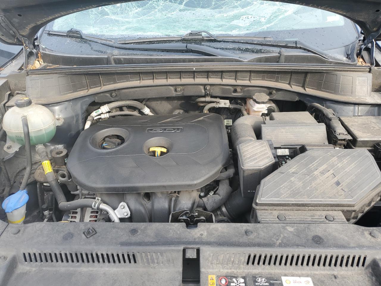 2019 Hyundai Tucson Se VIN: KM8J23A44KU916270 Lot: 81294165