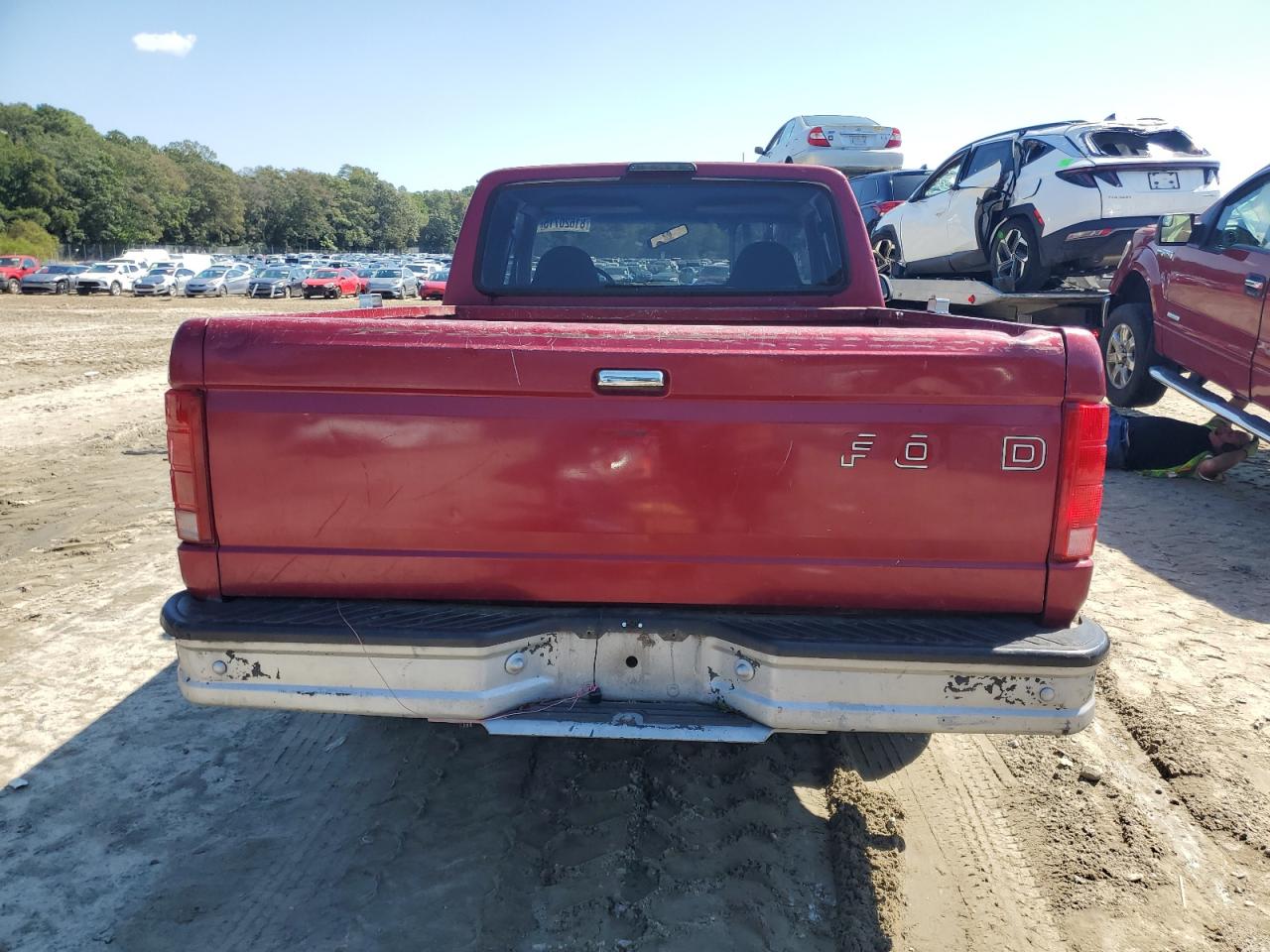 1995 Ford F150 VIN: 1FTEX15Y9SKB83105 Lot: 81620715