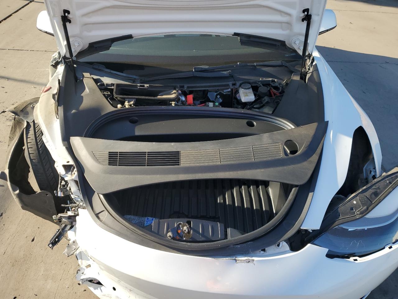 2022 Tesla Model 3 VIN: 5YJ3E1EB0NF181494 Lot: 82082995