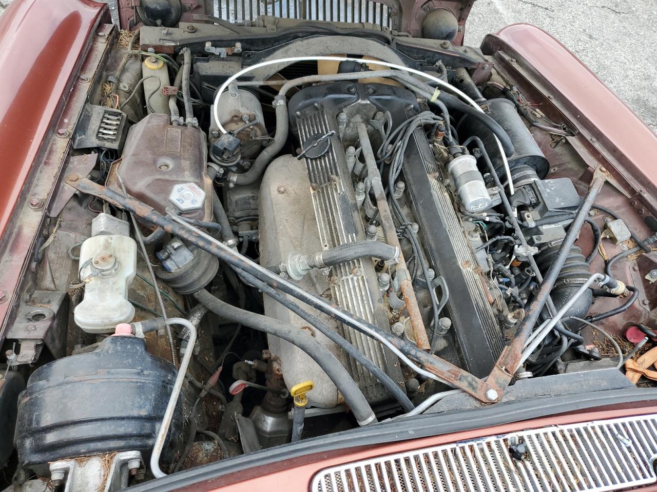 1983 Jaguar Xj6 VIN: SAJAV1348DC354846 Lot: 80012835