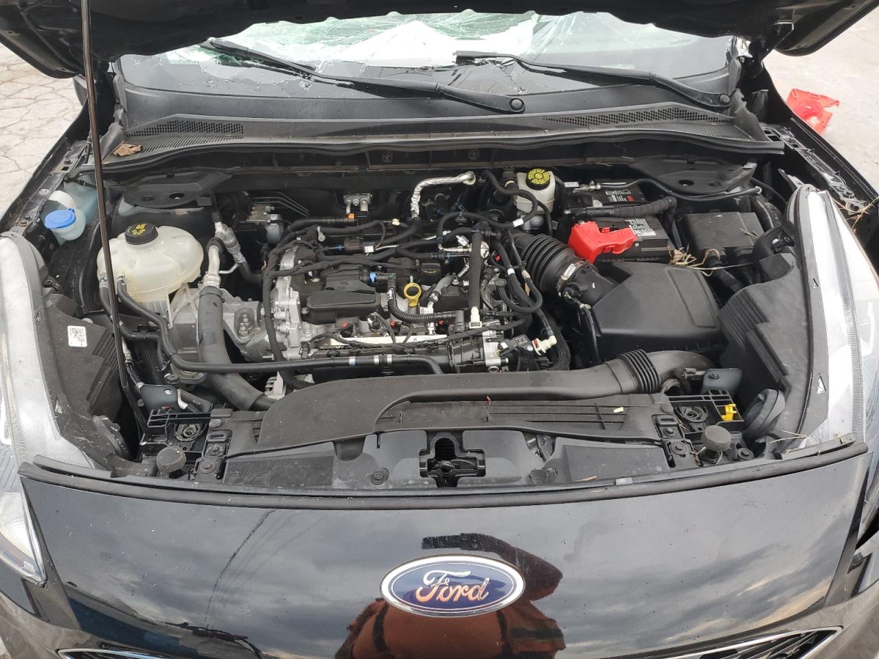 2021 Ford Escape Se VIN: 1FMCU0G69MUA38316 Lot: 81067275