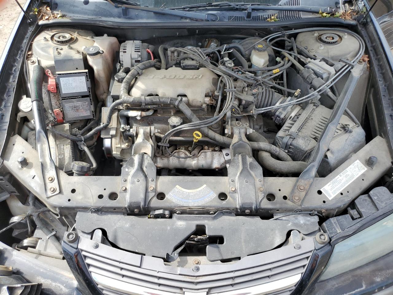 2004 Chevrolet Impala VIN: 2G1WF52E249120255 Lot: 83973765