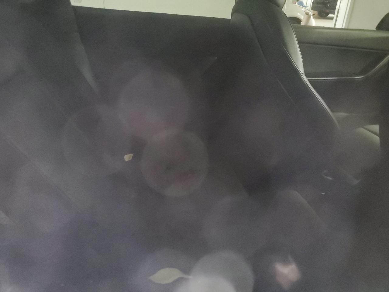 2021 Tesla Model Y VIN: 5YJYGDED6MF124346 Lot: 80510145