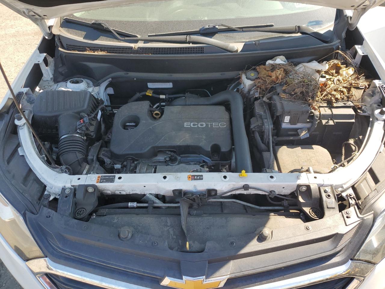 2018 Chevrolet Equinox Lt VIN: 2GNAXSEV4J6293885 Lot: 71151945