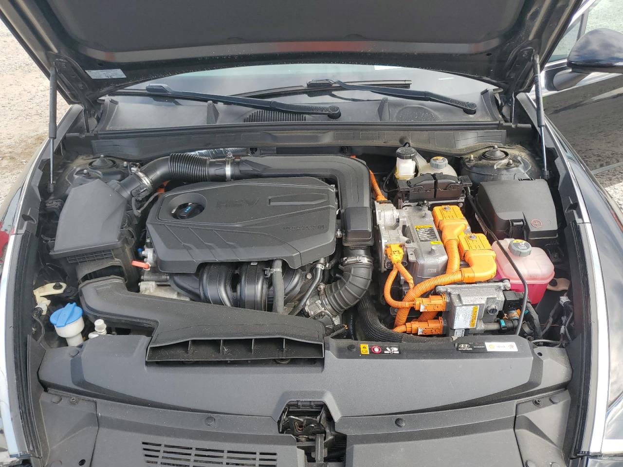 2022 Hyundai Sonata Hybrid VIN: KMHL54JJ4NA050913 Lot: 81820955