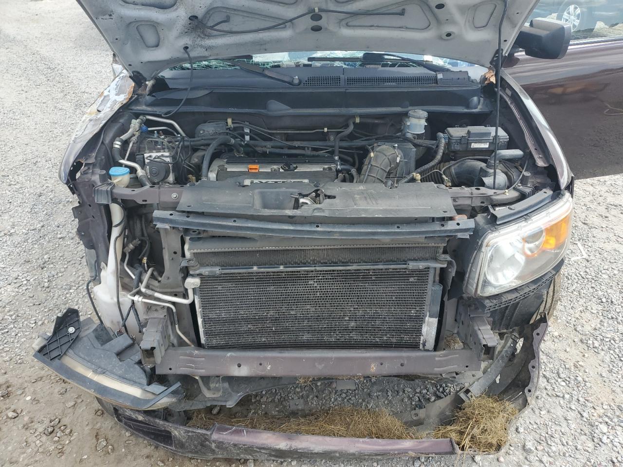 2007 Honda Element Sc VIN: 5J6YH18917L006851 Lot: 71213425