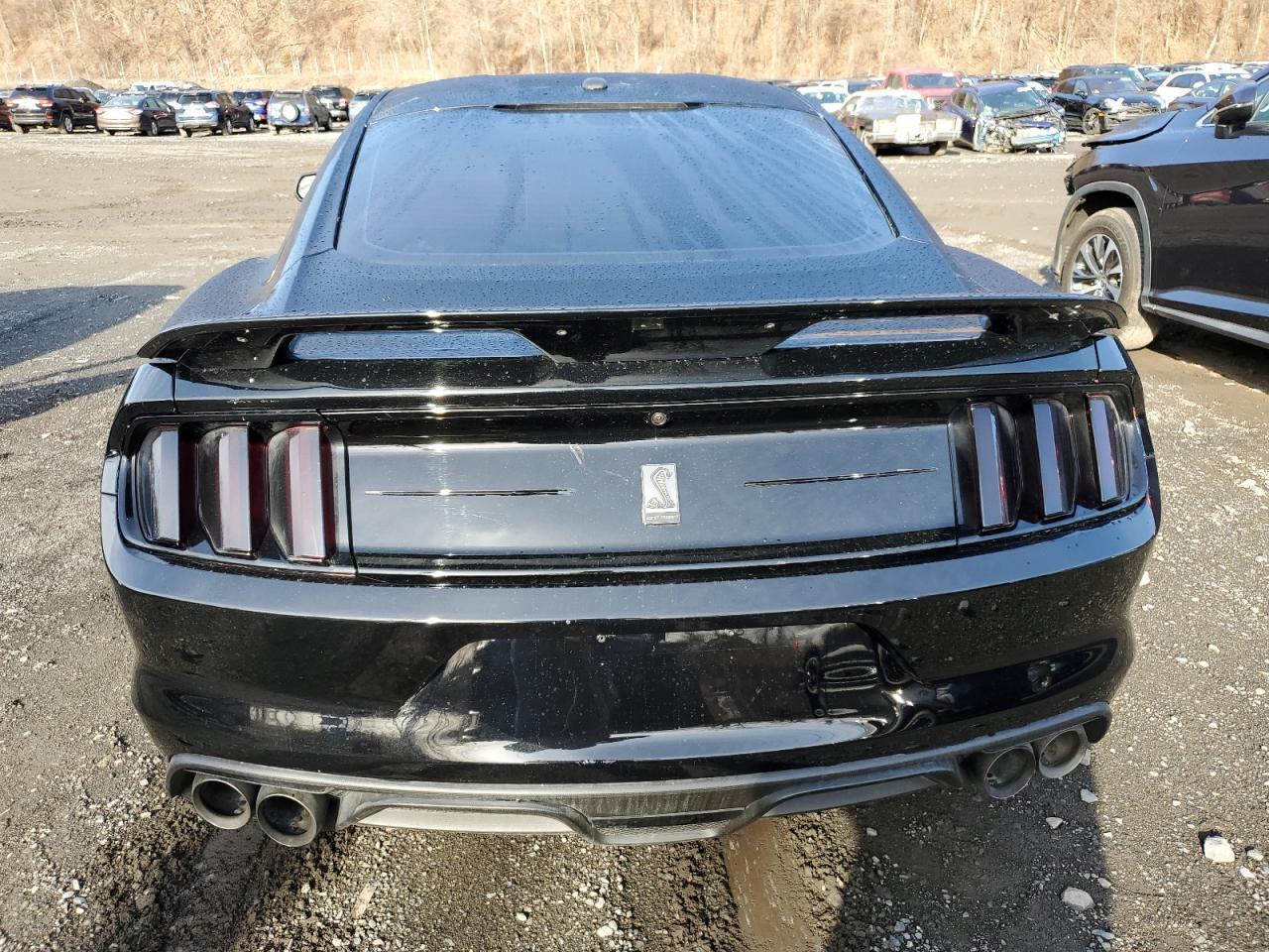 2019 Ford Mustang Shelby Gt350 VIN: 1FA6P8JZ7K5552639 Lot: 80361075
