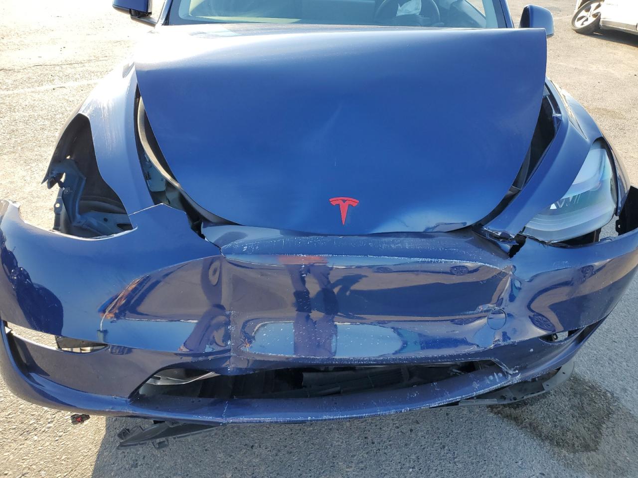 2023 Tesla Model Y VIN: 7SAYGDEE5PF862316 Lot: 81686415