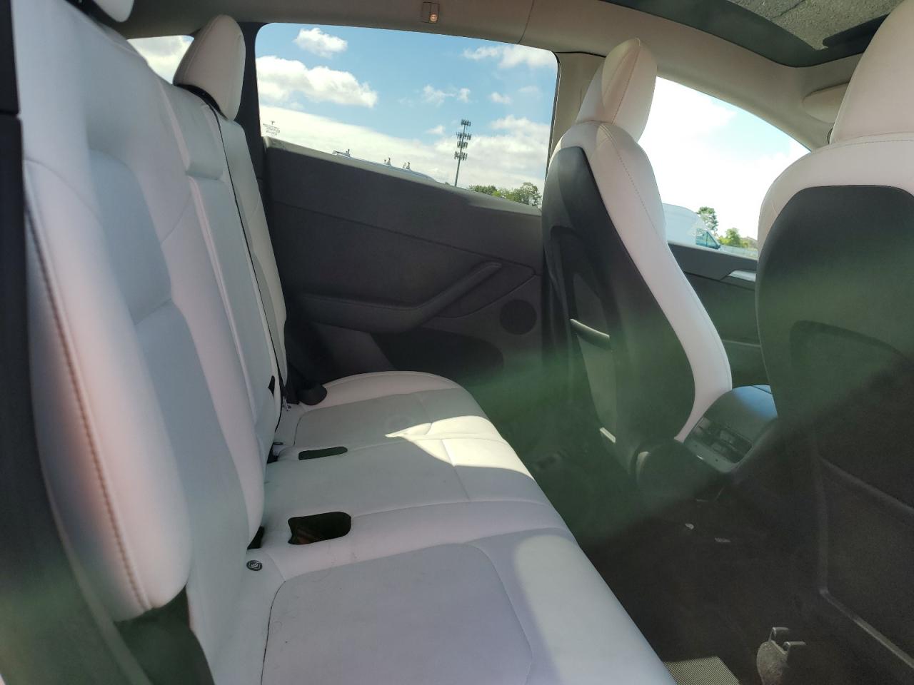 2022 Tesla Model Y VIN: 7SAYGDEE1NF565671 Lot: 81042355