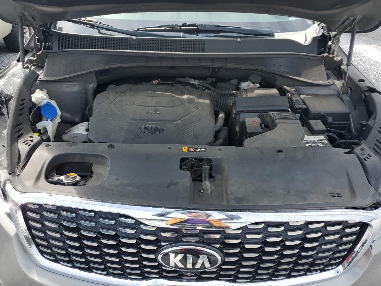 2019 Kia Sorento Sx VIN: 5XYPK4A55KG555162 Lot: 84014625
