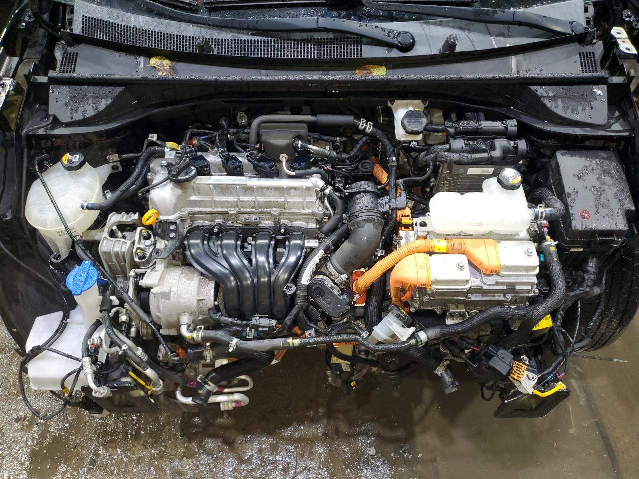 2019 Kia Niro Fe VIN: KNDCB3LC4K5316537 Lot: 84216315