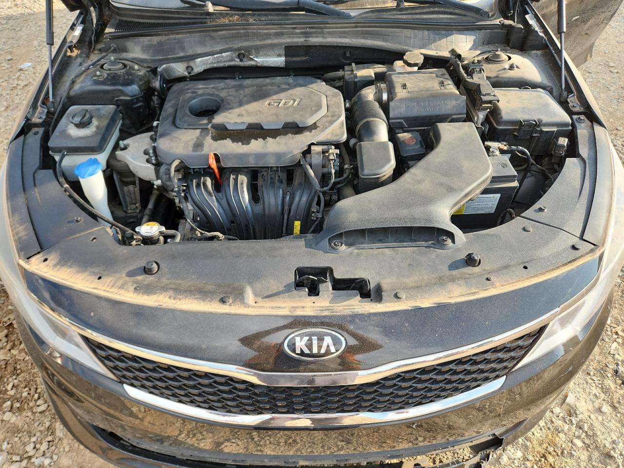 2017 Kia Optima Lx VIN: 5XXGT4L31HG122380 Lot: 80491895