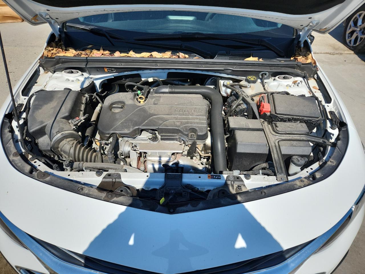 2021 Chevrolet Malibu Lt VIN: 1G1ZD5ST6MF071067 Lot: 83813315