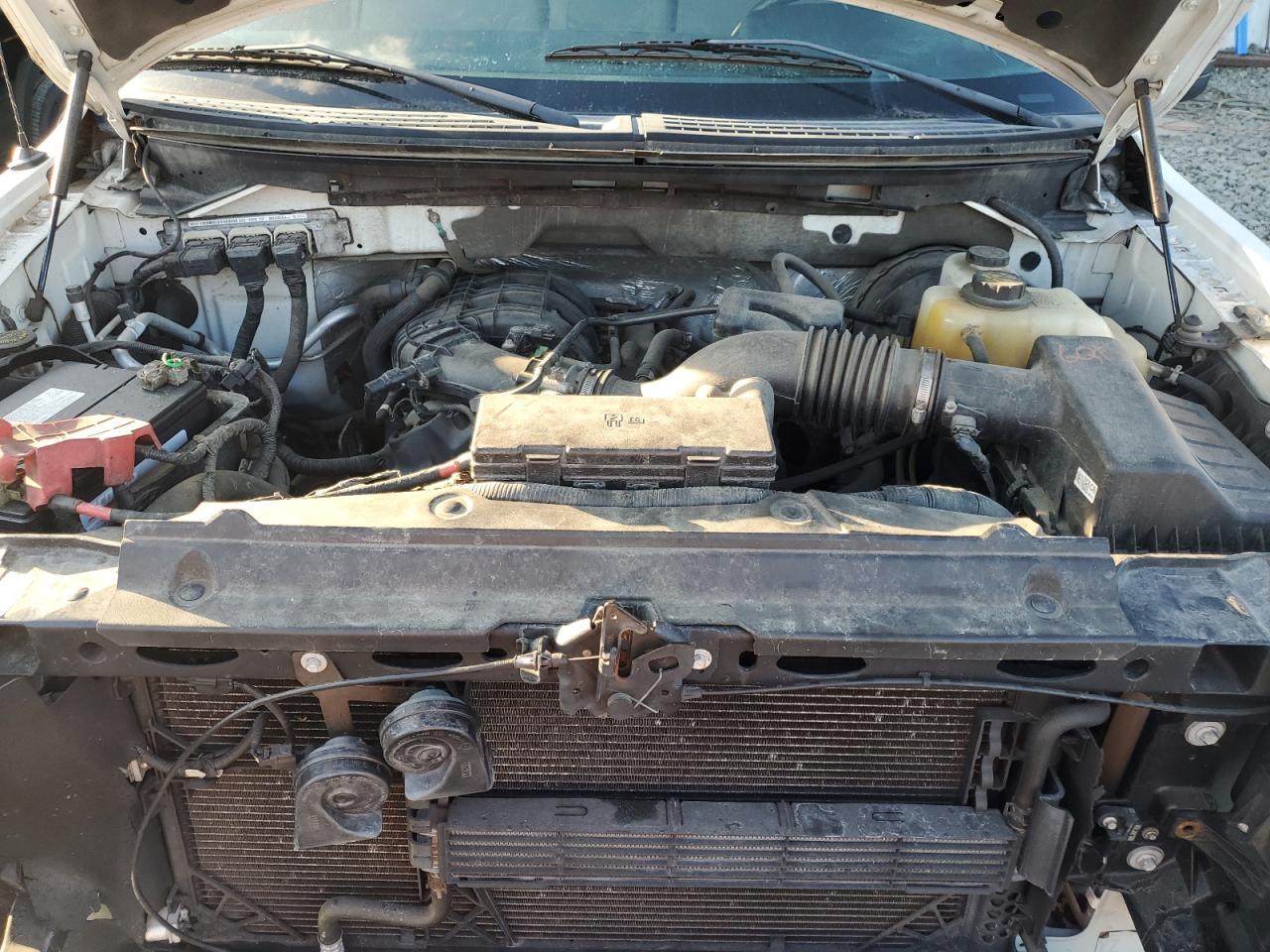 2013 Ford F150 VIN: 1FTMF1CM0DKF69008 Lot: 83800745