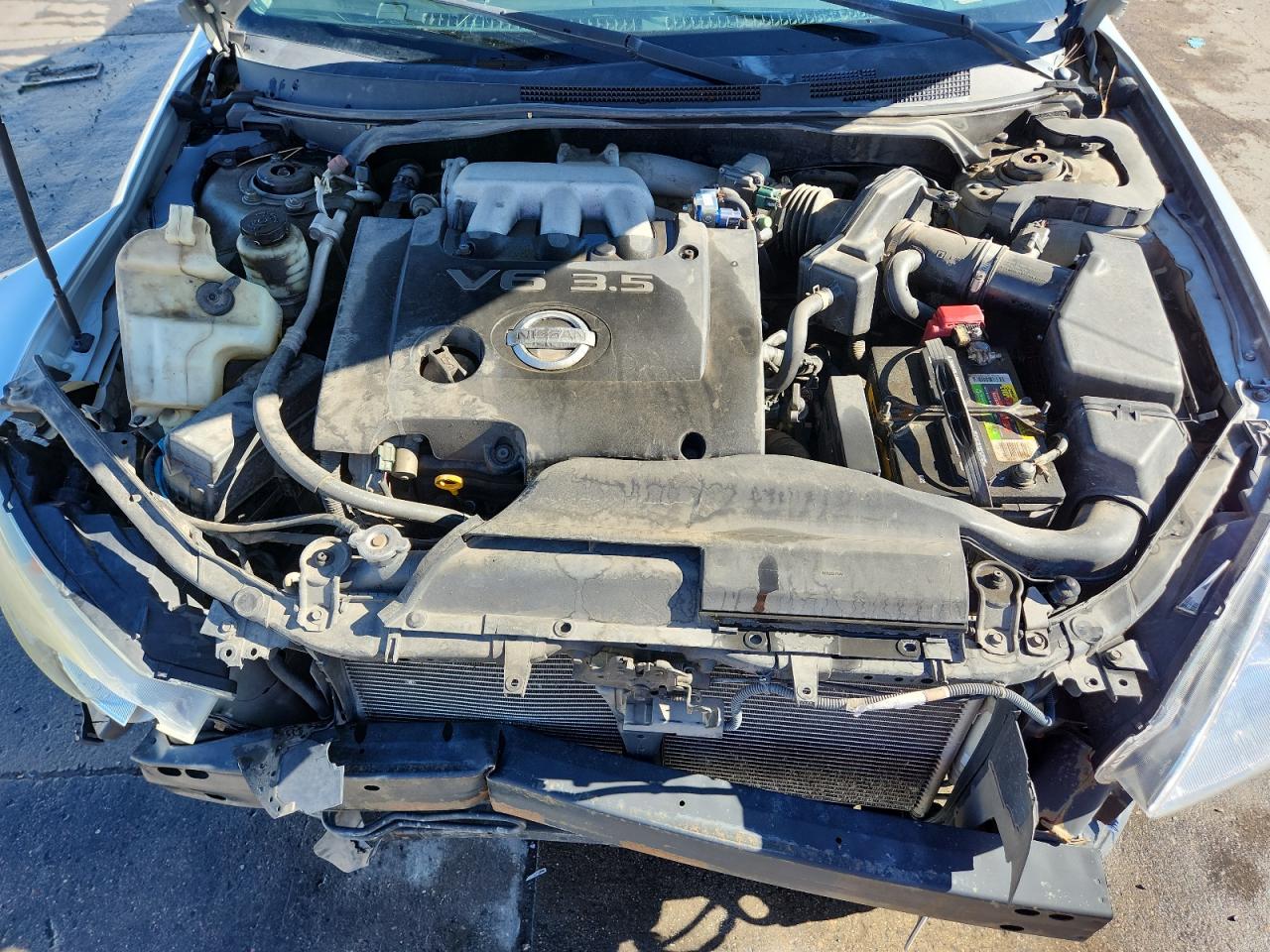 2003 Nissan Altima Se VIN: 1N4BL11D63C185459 Lot: 81679345