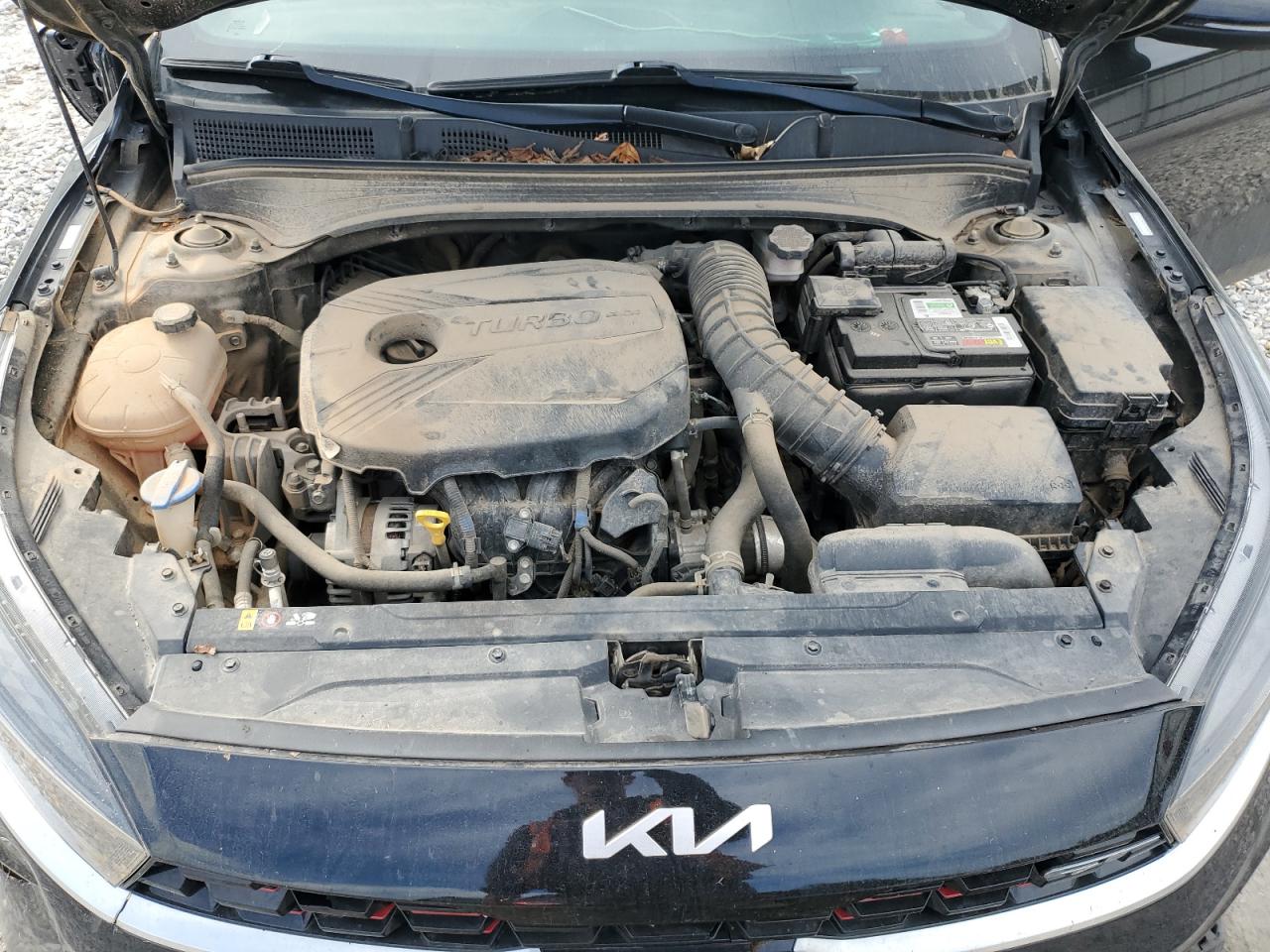 2022 Kia Forte Gt VIN: 3KPF44AC3NE450383 Lot: 84438325