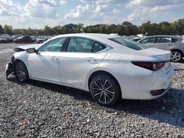  LEXUS ES250 2024 Белы