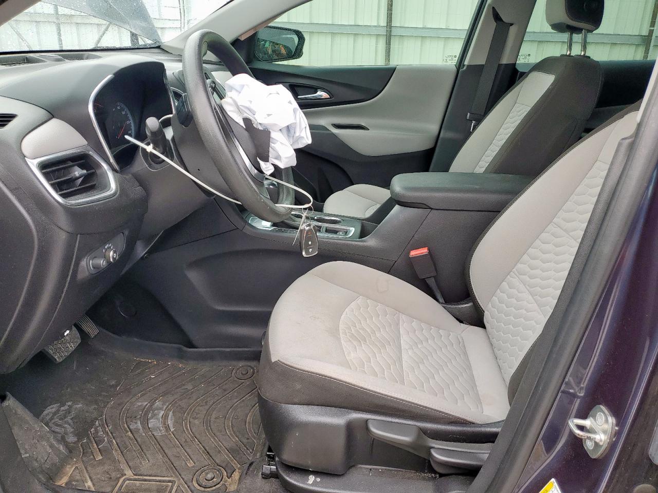 2019 Chevrolet Equinox Ls VIN: 3GNAXHEV9KL307635 Lot: 81198795