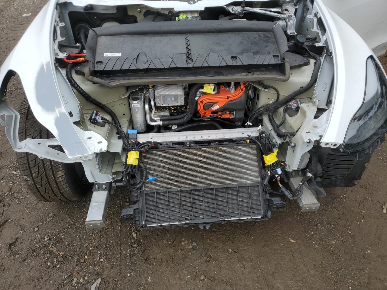 2024 Tesla Model Y VIN: 7SAYGDED4RF153032 Lot: 84019125