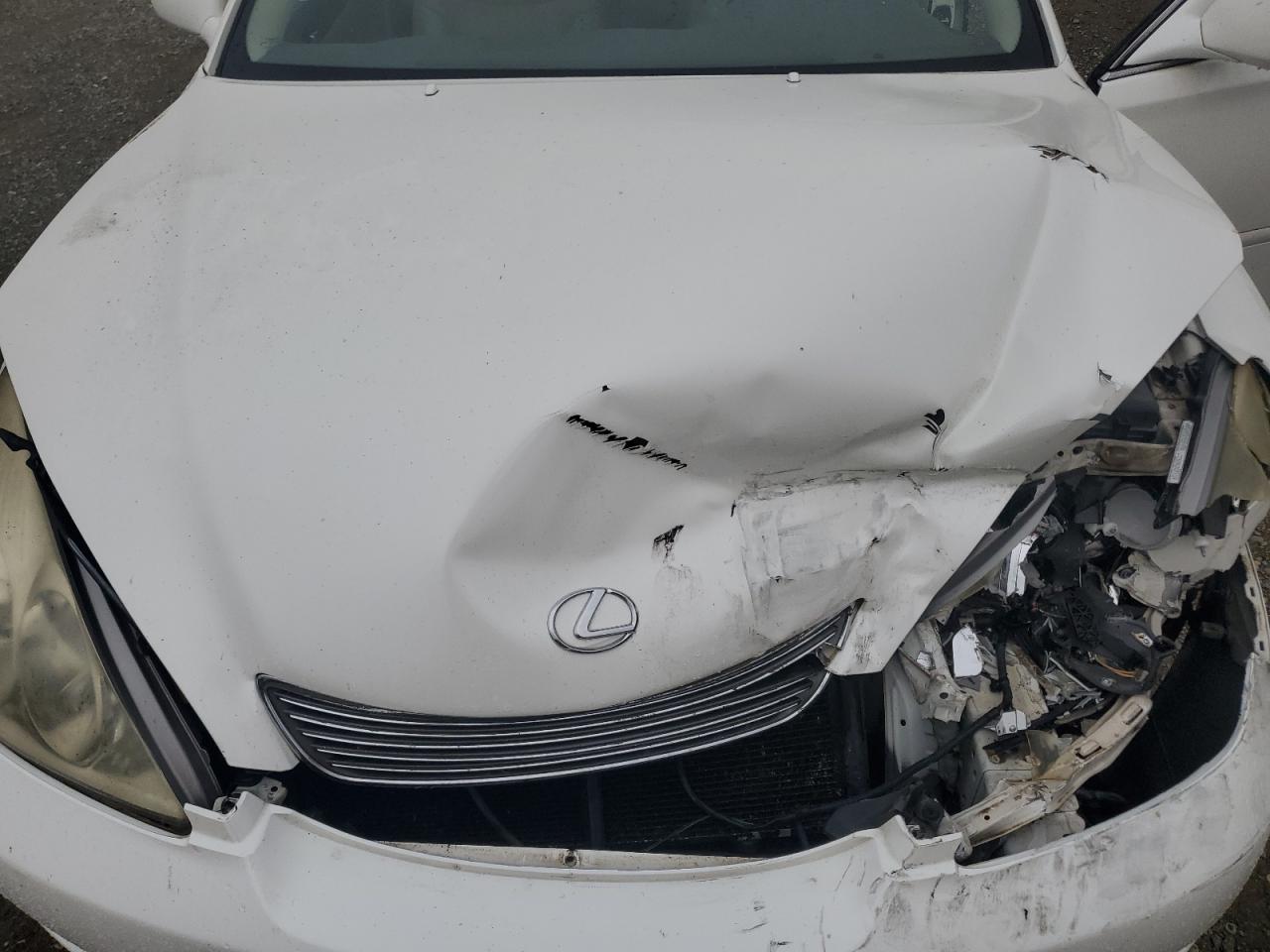 2005 Lexus Es 330 VIN: JTHBA30GX55121647 Lot: 81341455