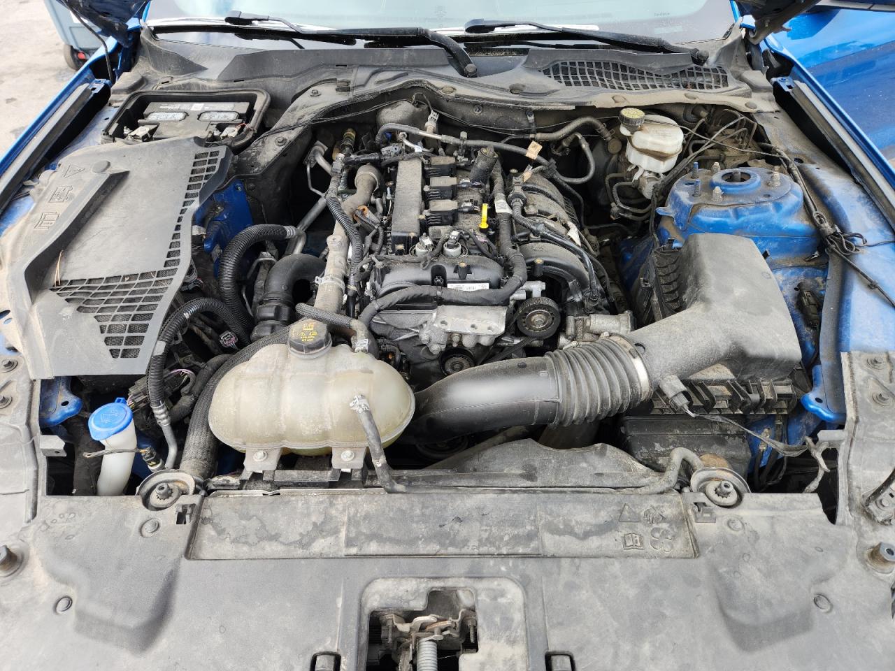 2021 Ford Mustang VIN: 1FA6P8TH3M5118869 Lot: 71278445
