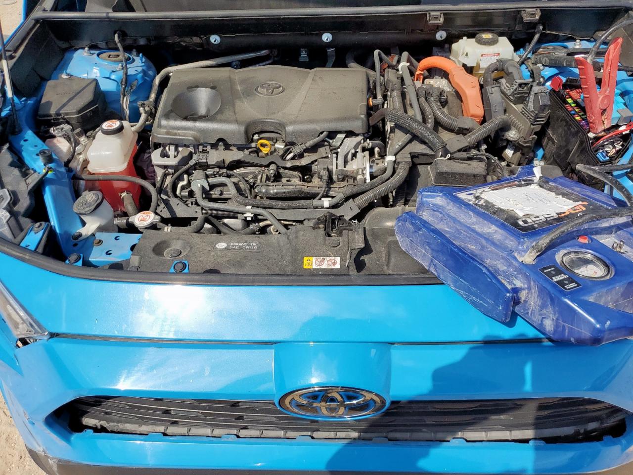 2021 Toyota Rav4 Xle VIN: JTMRWRFV0MD114365 Lot: 81020125