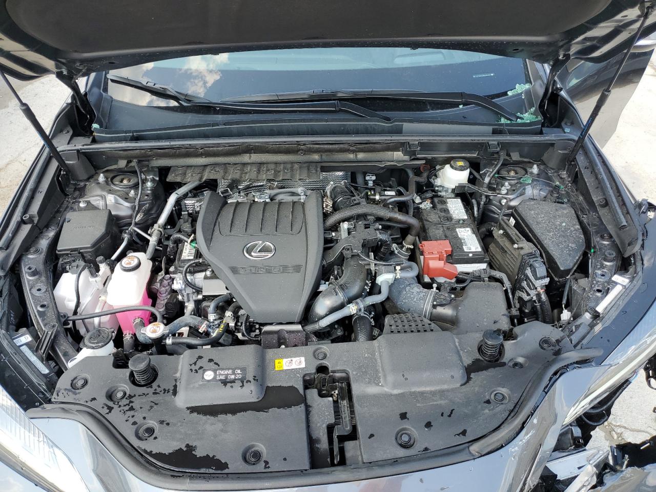 2024 Lexus Nx 350 Premium VIN: 2T2GGCEZXRC051104 Lot: 43424705