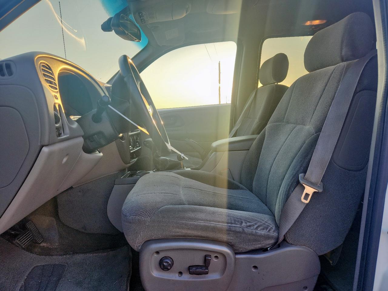 2002 Chevrolet Trailblazer VIN: 1GNDT13S922181772 Lot: 80696325