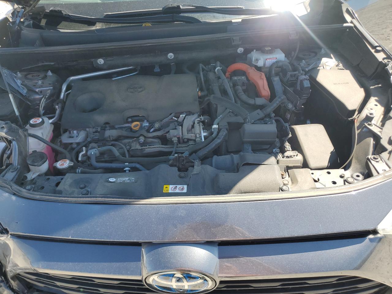 2021 Toyota Rav4 Xle VIN: 4T3RWRFV7MU023676 Lot: 71927655