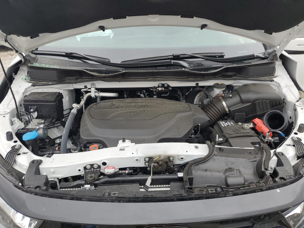 2025 Honda Odyssey Touring VIN: 5FNRL6H83SB036619 Lot: 81611685