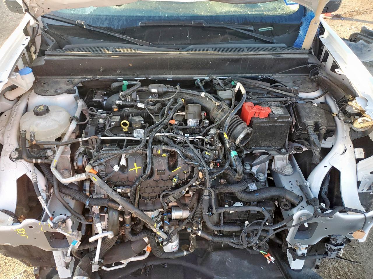 2024 Ford Maverick Xlt VIN: 3FTTW8H95RRA25308 Lot: 84377135