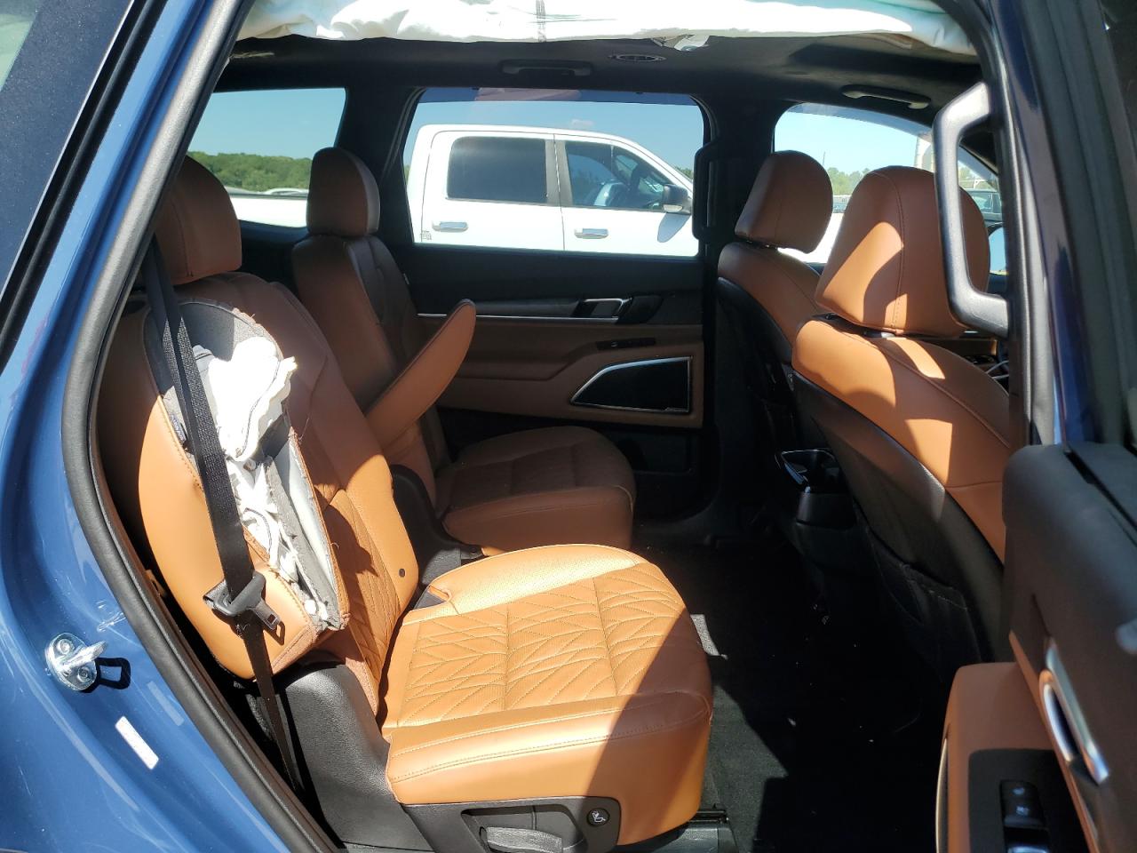 2024 Kia Telluride Sx VIN: 5XYP5DGC2RG564067 Lot: 84219775