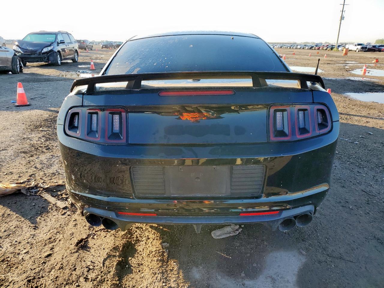 2014 Ford Mustang Gt VIN: 1ZVBP8CF7E5291168 Lot: 81684065