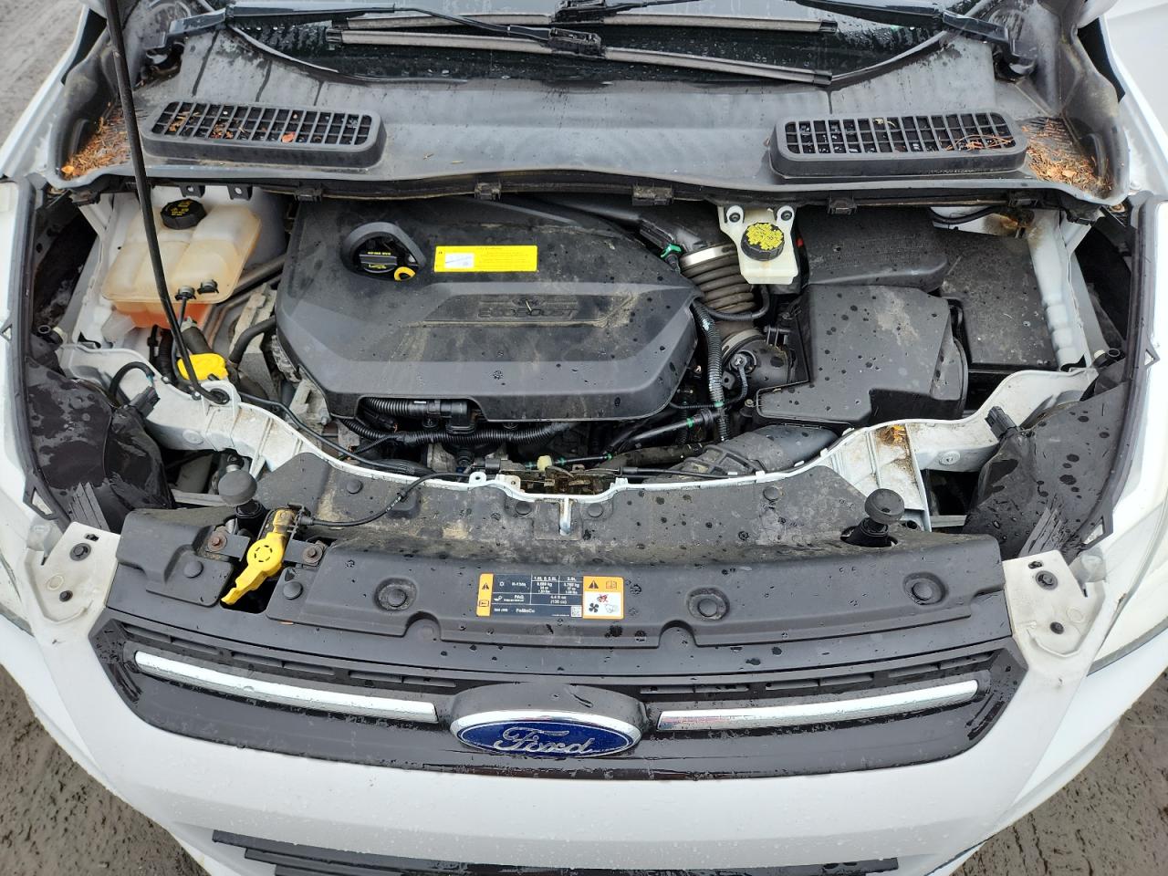 2015 Ford Escape Se VIN: 1FMCU9GX8FUB44515 Lot: 82082875